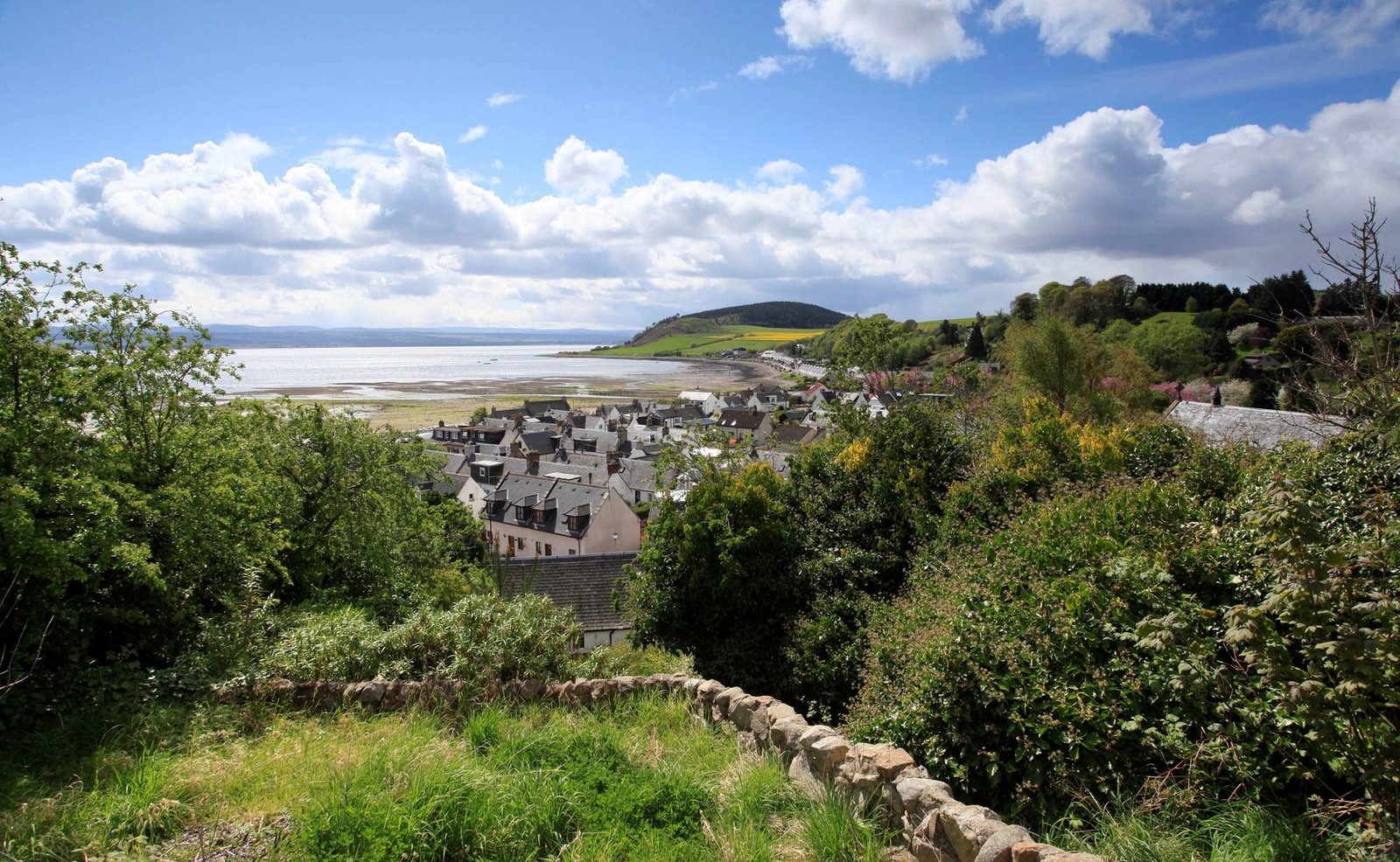 black-isle