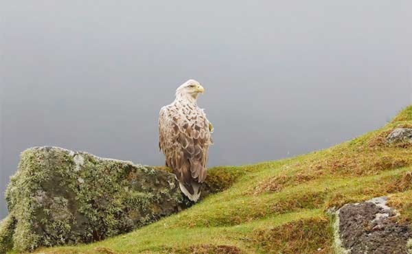 Isle of Skye Tours: For Those Who Crave the Wilds