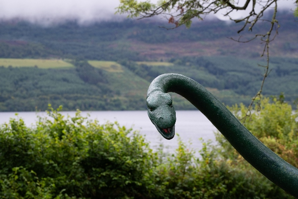 The Legend Seeker & Loch Ness Enthusiast: For Those Hunting Monsters and Myths