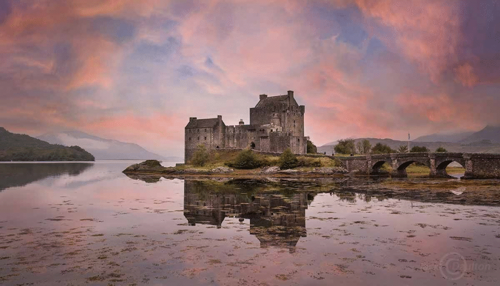 The History Buff & Clan Curious: For People Who Love a Good Story