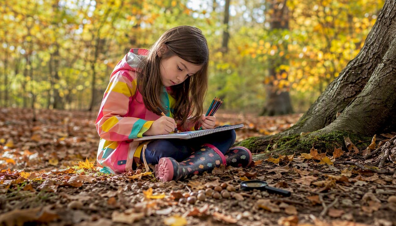 Child sketching tree changes outdoors