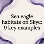 Decorative watercolor illustration framing title text area