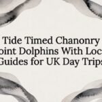 Watercolor tide frame title card