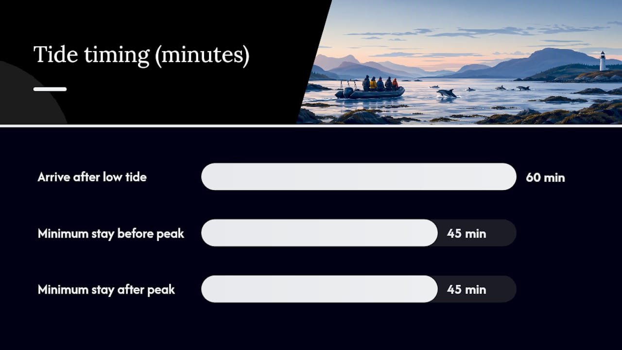 When to go: months, tides and weather — overview diagram